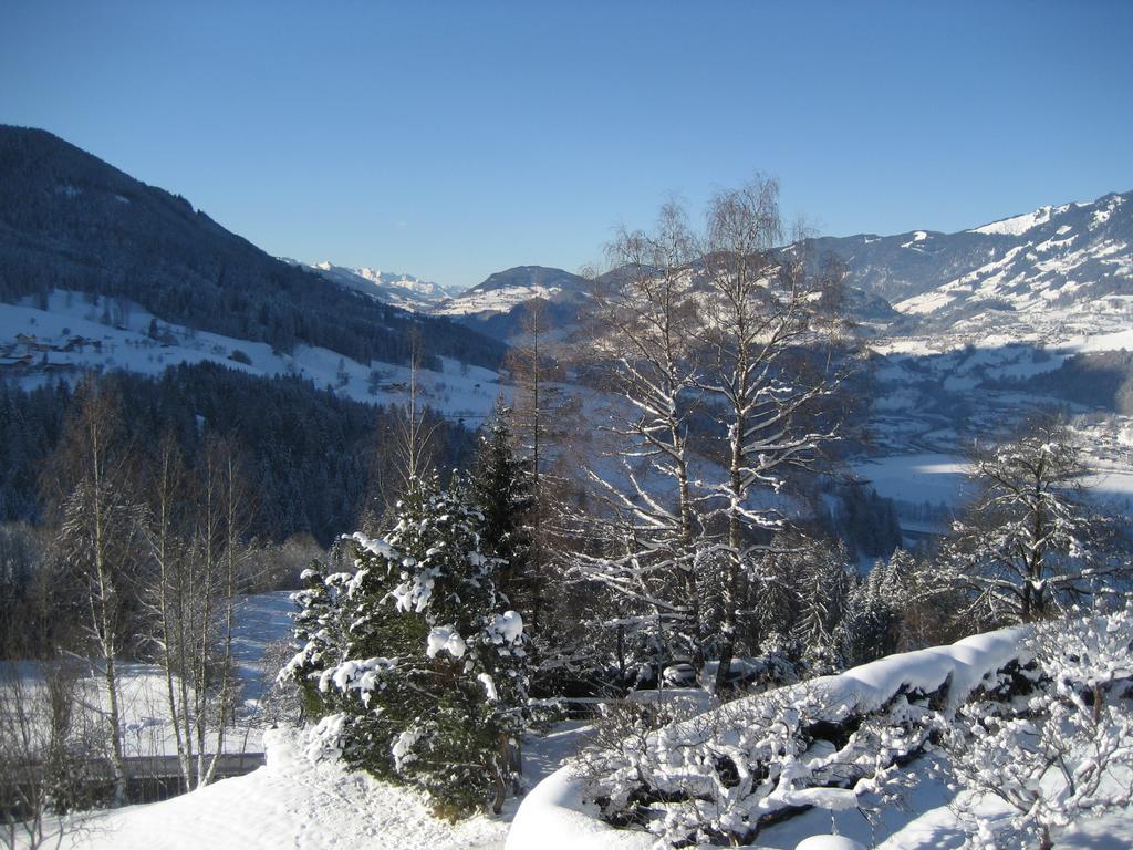Appartement Haus Voithofer à Sankt Johann im Pongau Extérieur photo